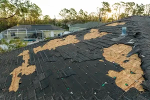 Explore Causes of Roof Damage